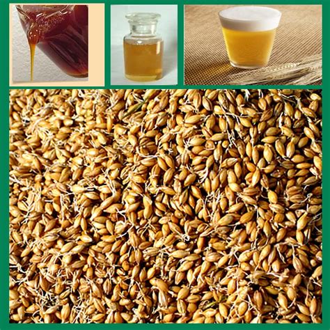 is malt extract good for you